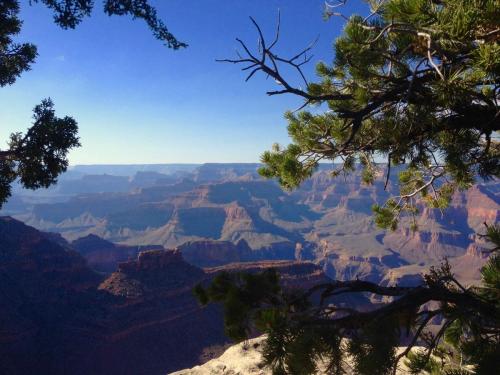 Grand Canyon, versant Sud