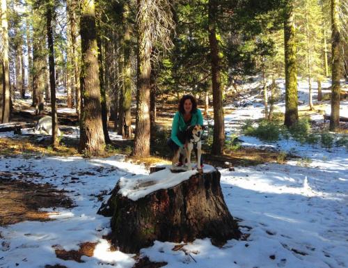 Parc National Yosemite, California