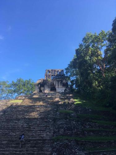 Les ruines Maya de Palenque