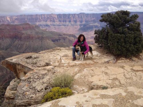 Grand Canyon, versant nord